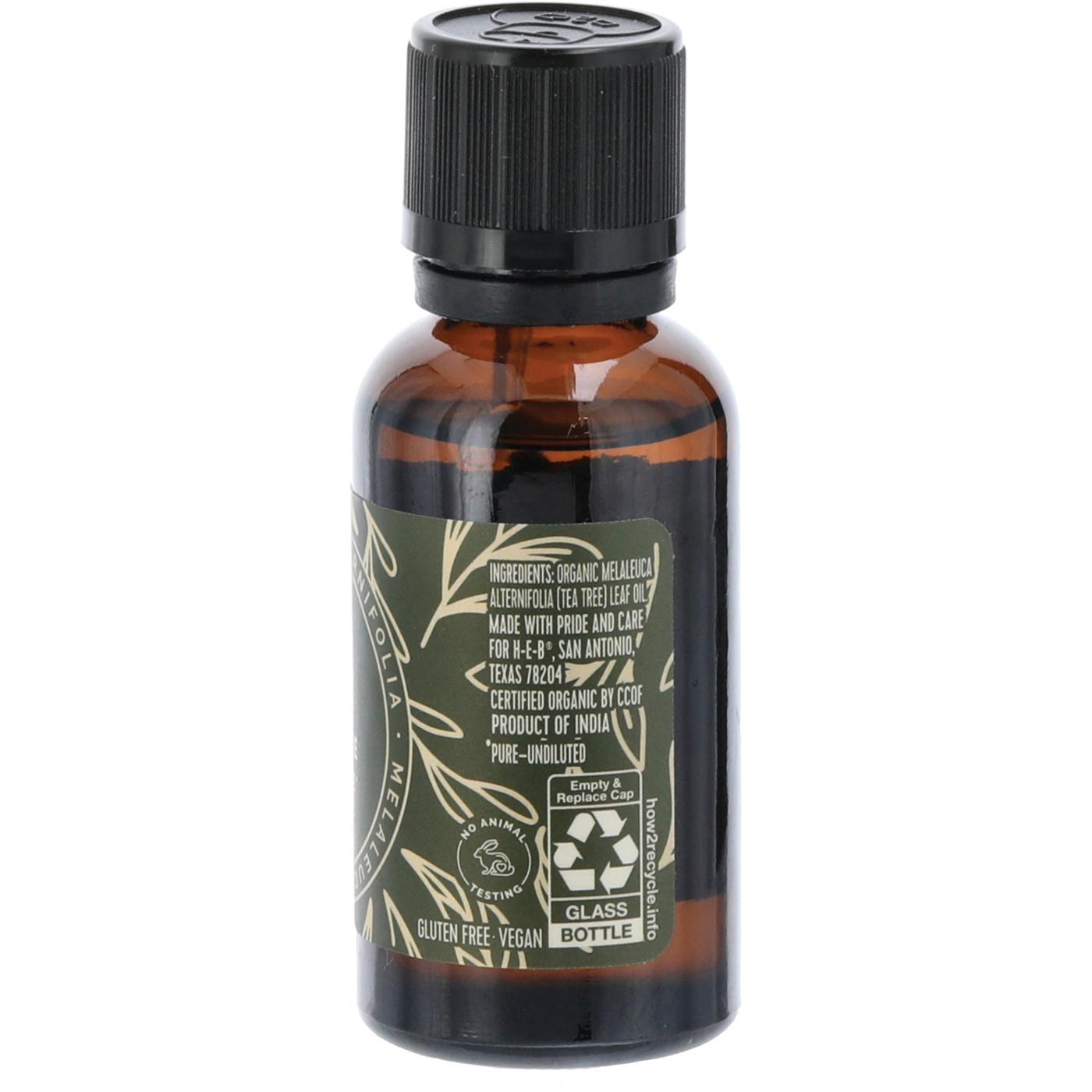 Field & Future by H-E-B Organic Tea Tree Essential Oil; image 5 of 5