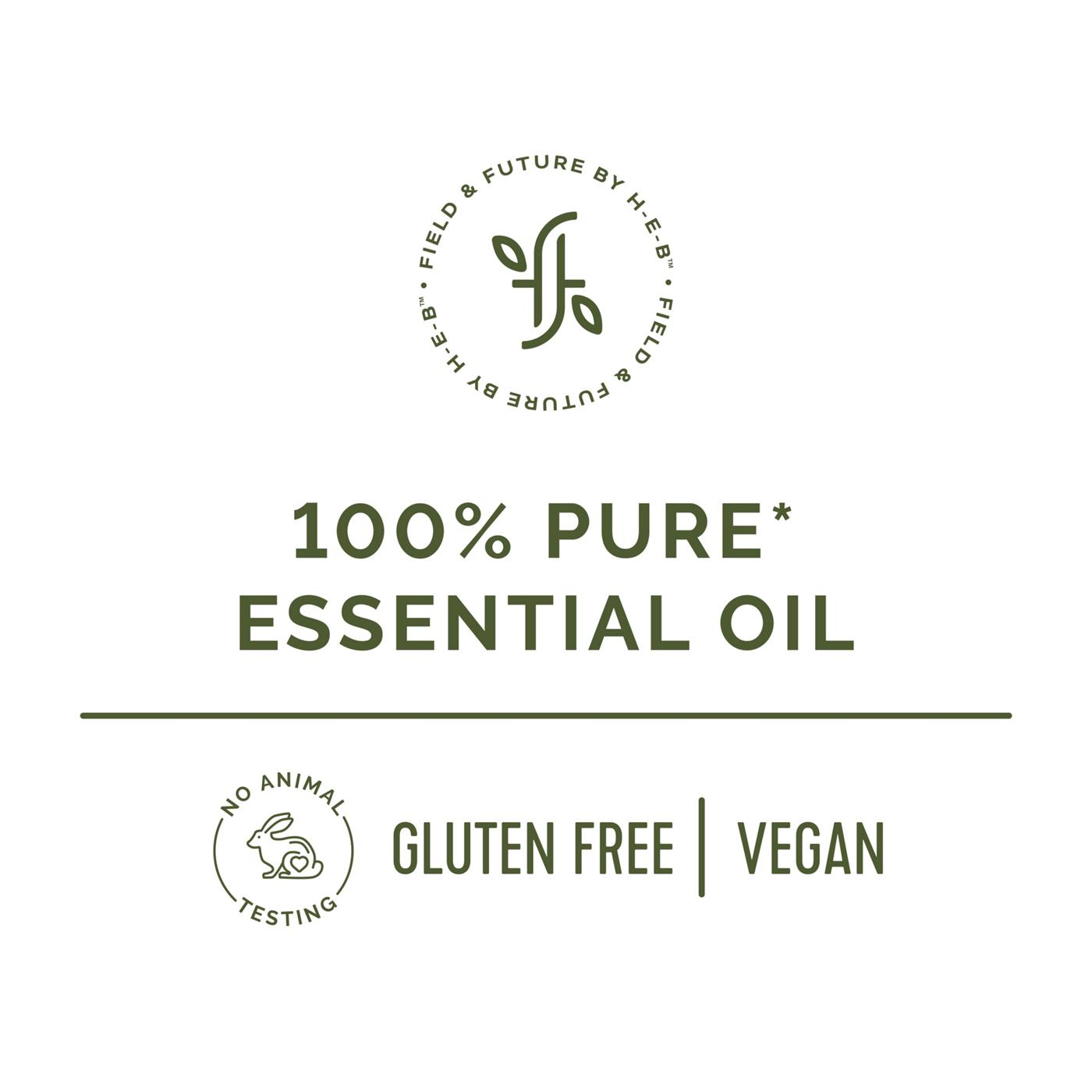 Field & Future by H-E-B Peppermint Essential Oil; image 2 of 4