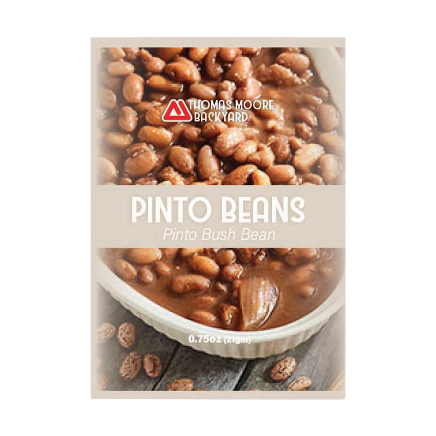 Thomas Moore Backyard Pinto Bush Beans Seed Packet Shop Seeds at HEB