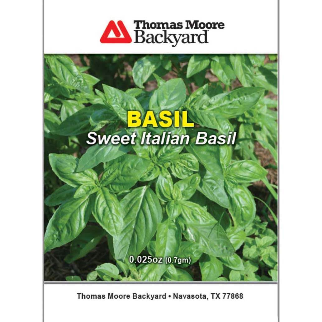Thomas Moore Backyard Sweet Italian Basil Seed Packet Shop Seeds at HEB