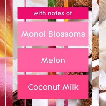 Glade PlugIns Scented Oil Air Freshener Refills - Exotic Tropical Blossom, 5 ct