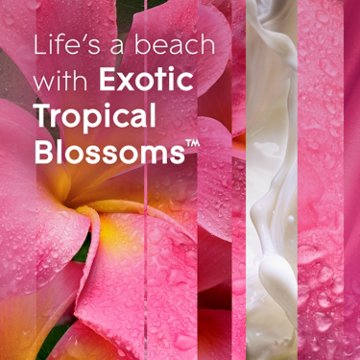 Glade PlugIns Scented Oil Air Freshener Refills - Exotic Tropical Blossoms