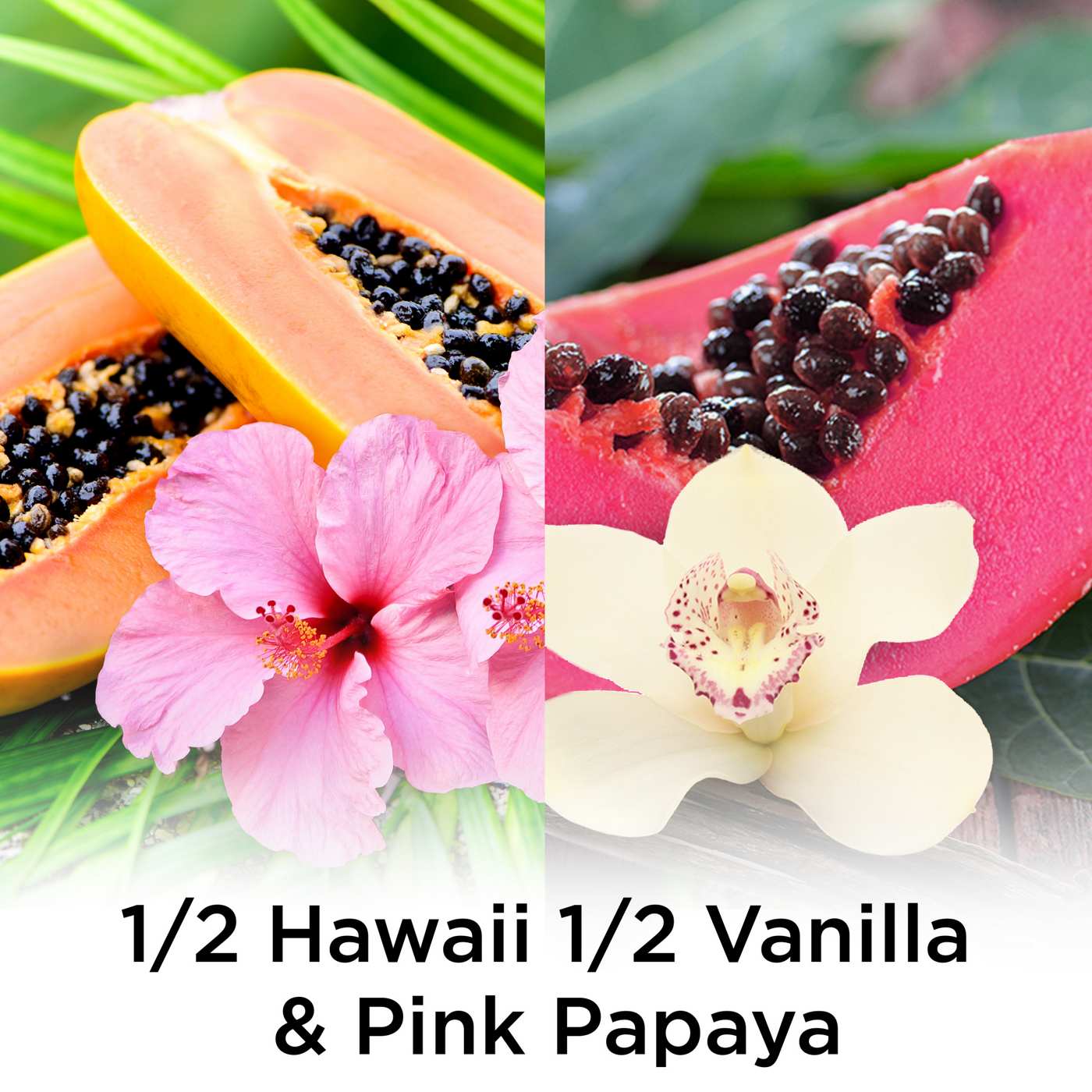 Air Wick Scented Oil Refills - Vanilla & Pink Papaya & Hawaii; image 3 of 8
