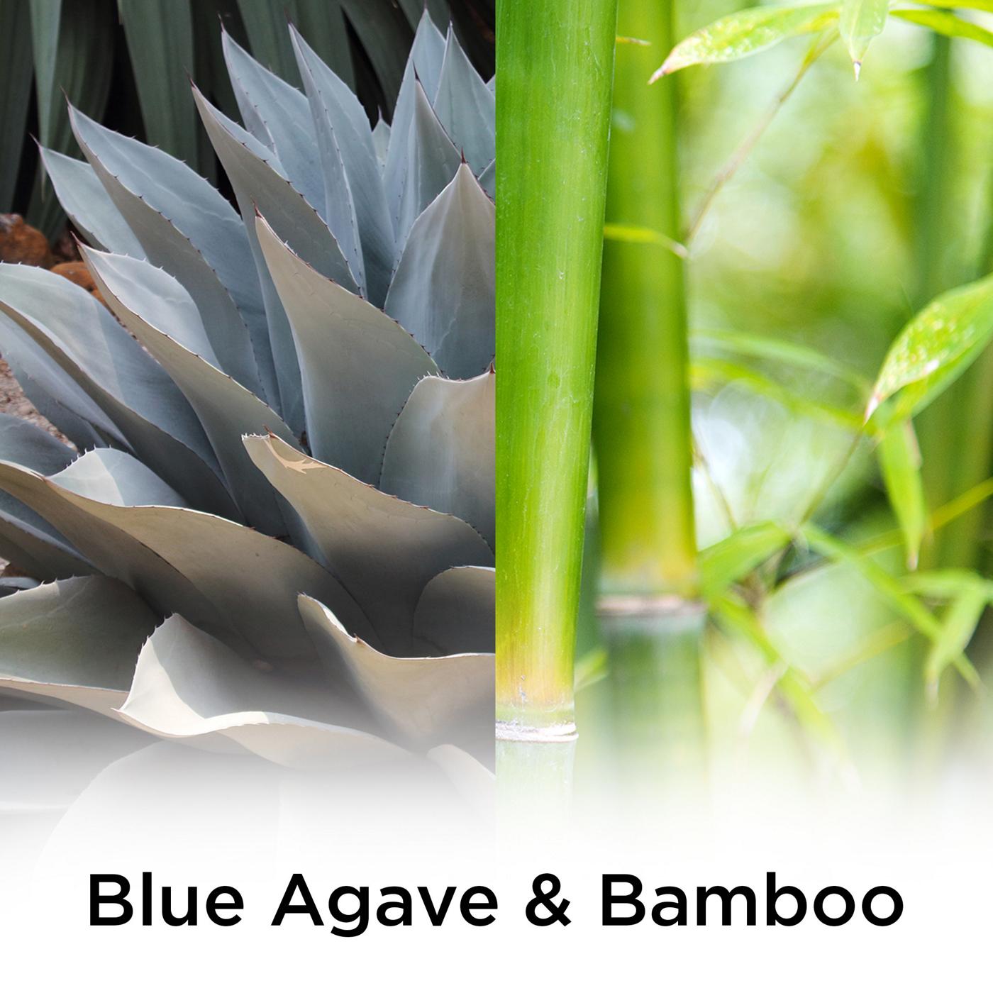 Air Wick Scented Oil Refills - Blue Agave & Bamboo; image 4 of 6