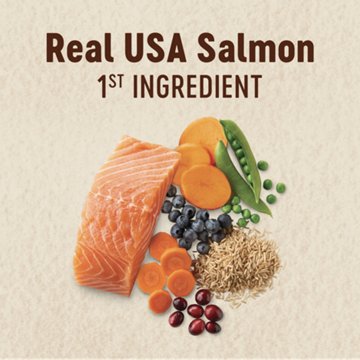 Heritage Ranch by H-E-B Adult Dry Dog Food - Salmon & Brown Rice