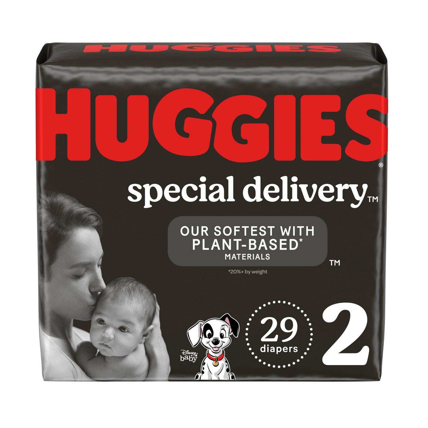 Huggies Special Delivery Hypoallergenic and Fragrance Free Baby Diapers - Size 2; image 1 of 9