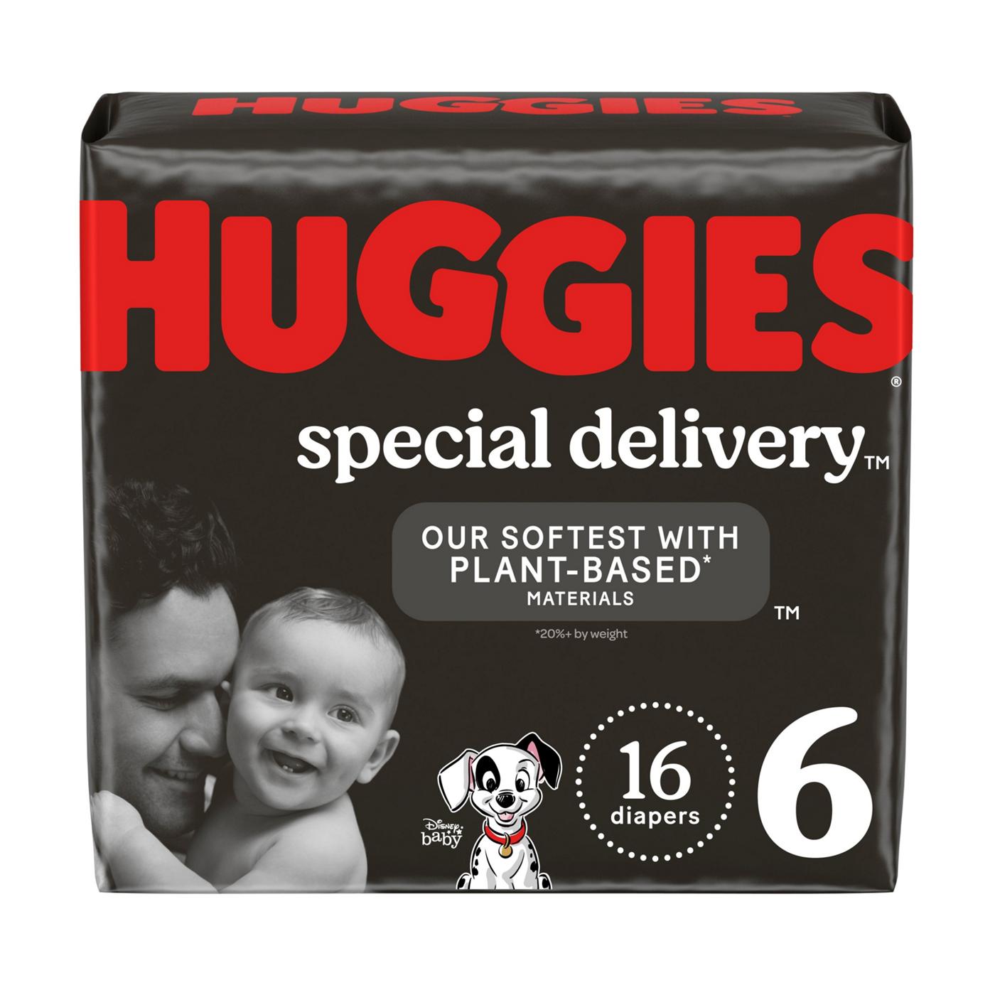 Huggies Special Delivery Hypoallergenic Baby Diapers Size 6; image 1 of 9