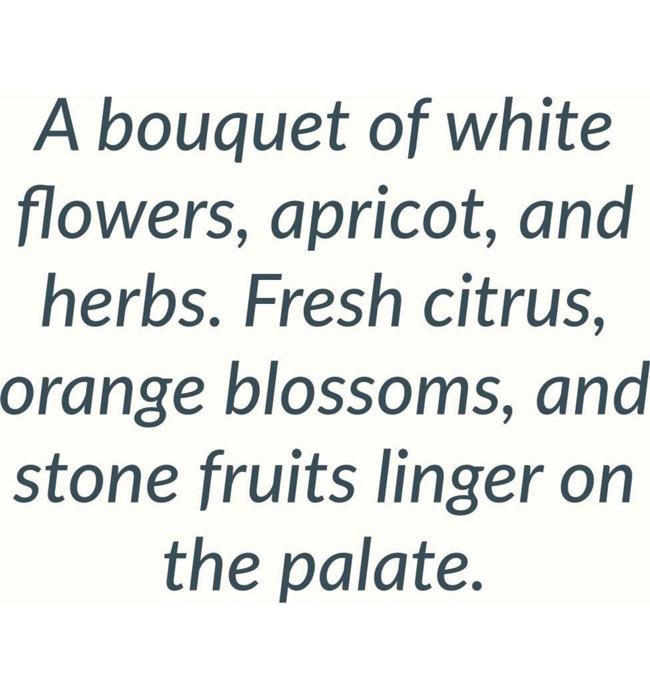 Welcome to Italy Prosecco Sparkling Wine; image 3 of 6