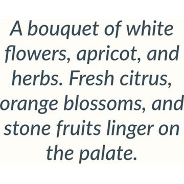 Welcome to Italy Prosecco Sparkling Wine, 750 mL