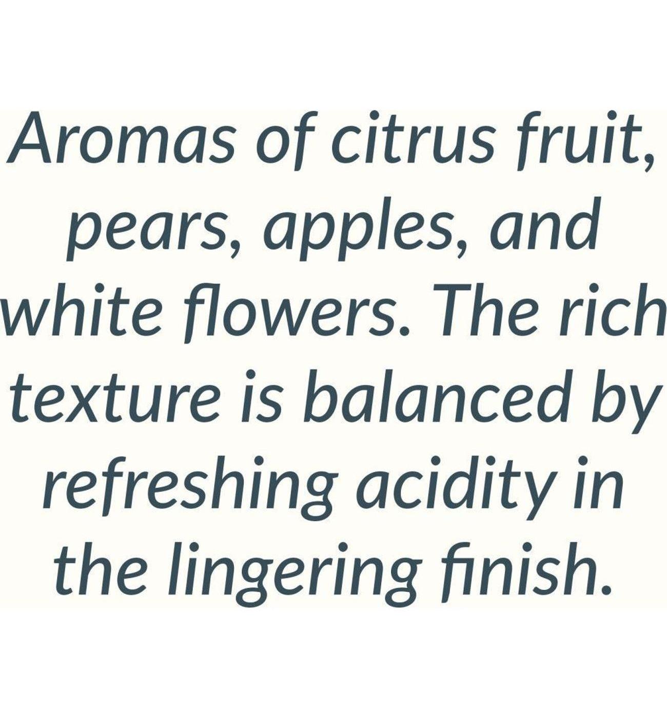 Welcome to Italy Pinot Grigio White Wine; image 4 of 6