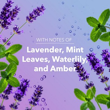 Safeguard Hydrating Hand Wash - Notes of Lavender