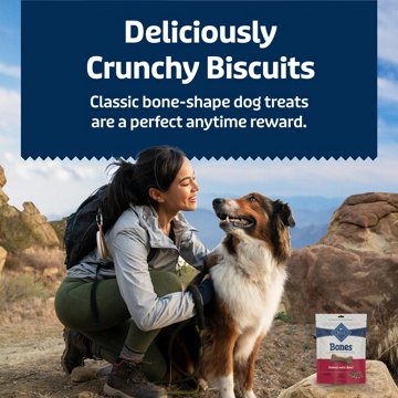 Blue Buffalo Bones Large Crunchy Dog Treats - Beef, 16 oz