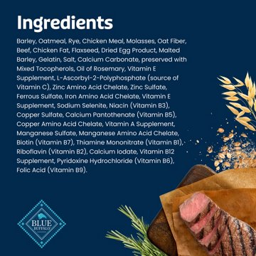 Blue Buffalo Bones Large Crunchy Dog Treats - Beef, 16 oz