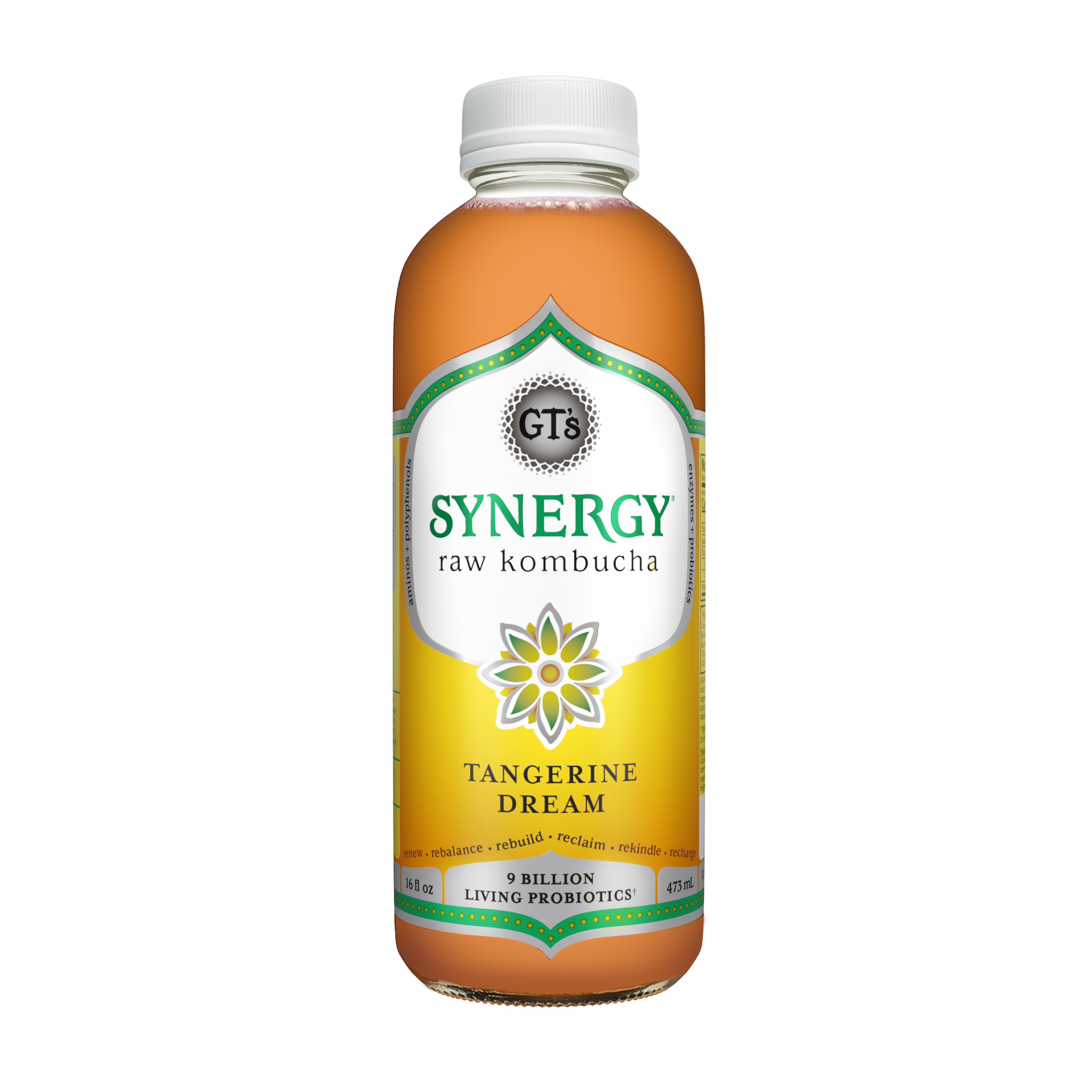 GT's Synergy Tangerine Dream Raw Kombucha Shop Tea at HEB