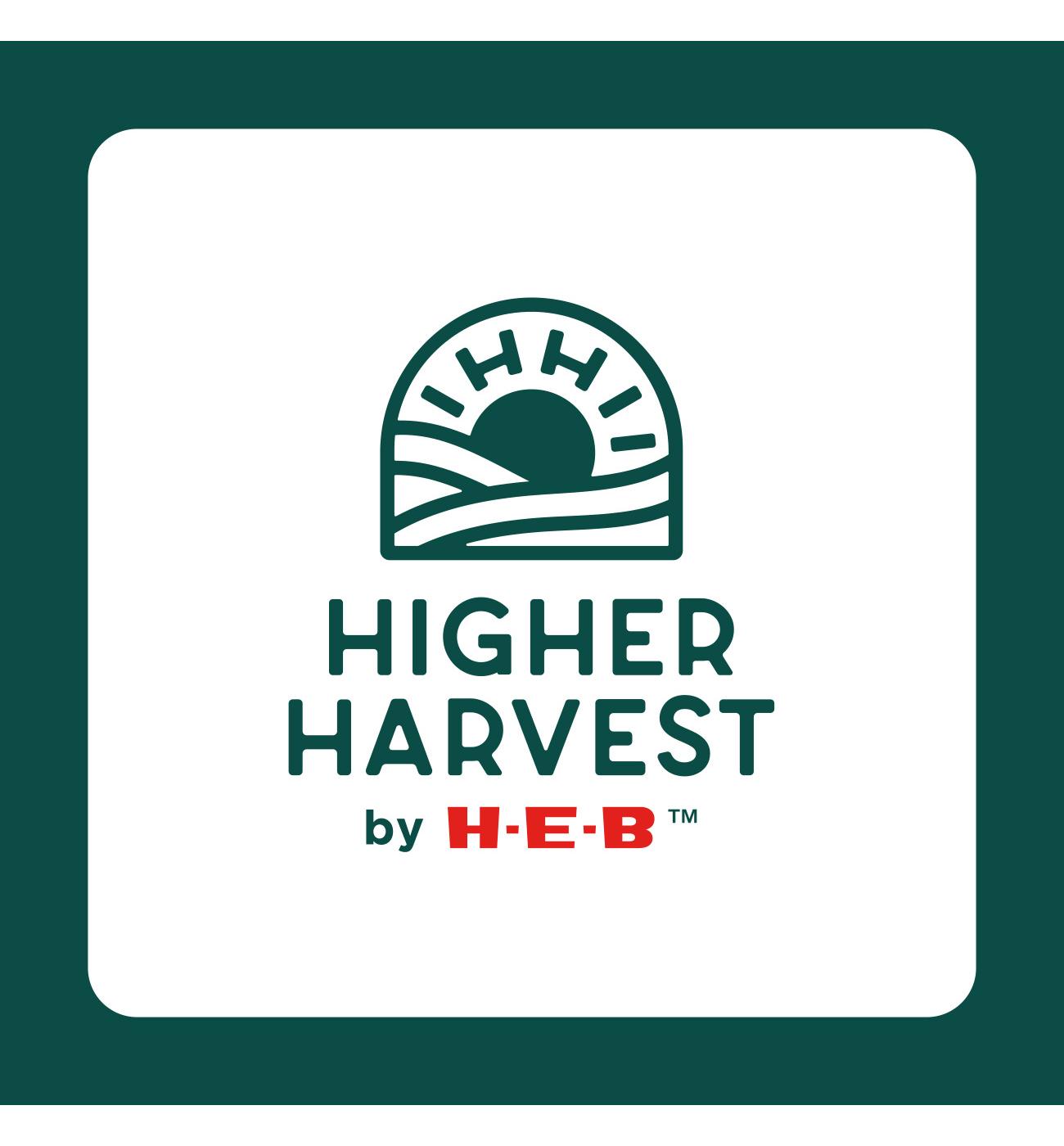 Higher Harvest by H-E-B Non-Dairy Frozen Dessert - Minty Choco Chip; image 2 of 2