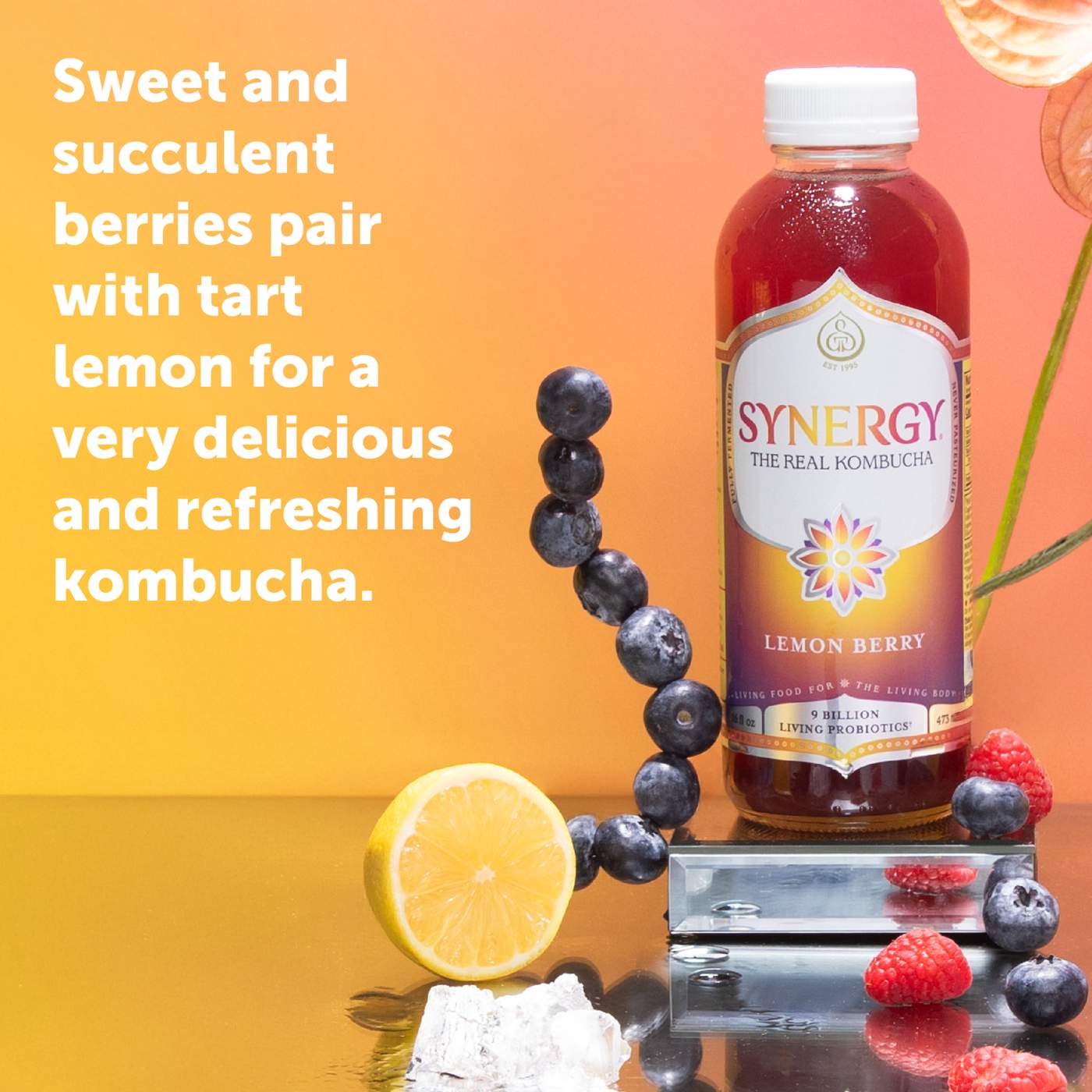 GT's Synergy Lemon Berry Raw Organic Kombucha; image 5 of 7