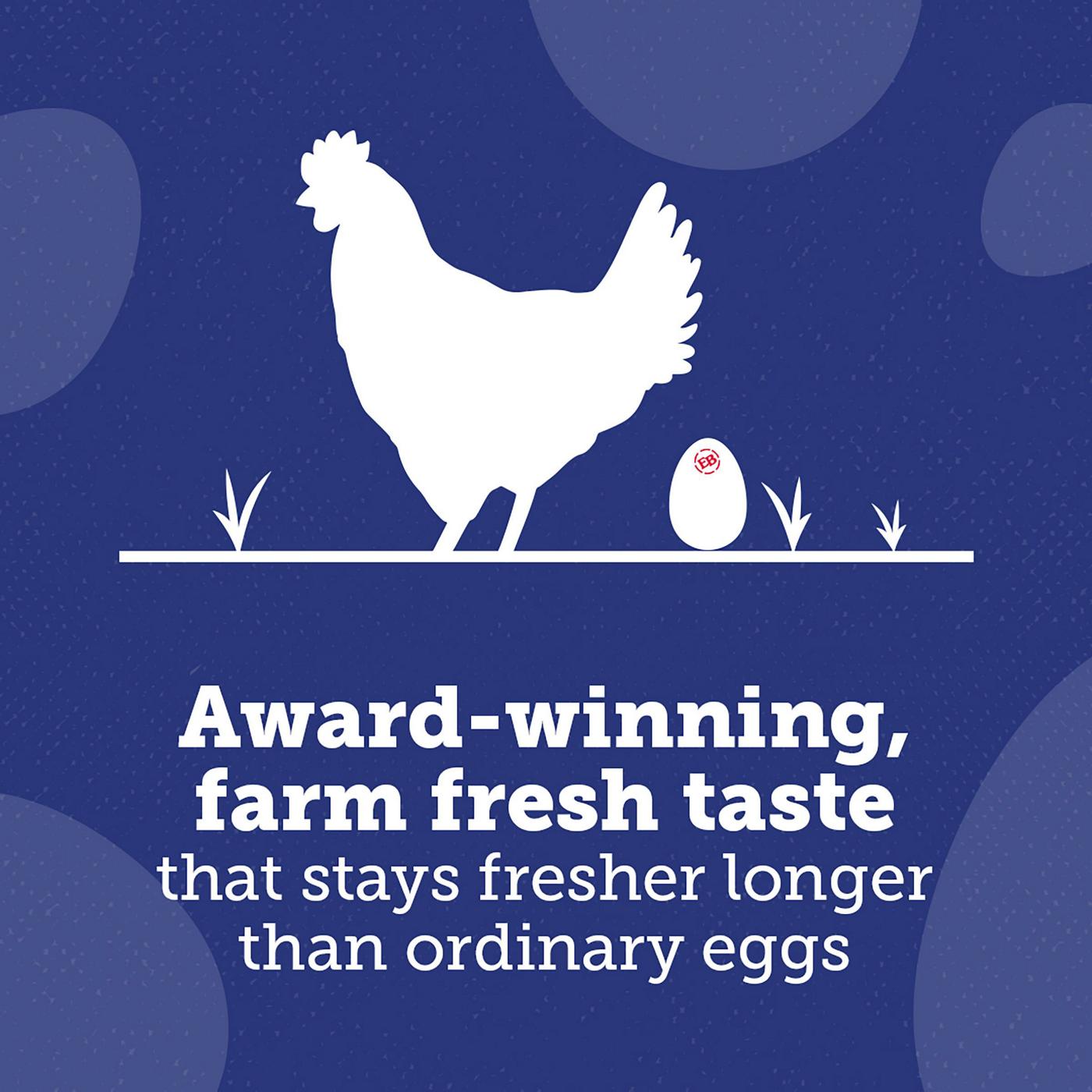 Eggland's Best Grade AA Hard-Cooked Peeled Medium Eggs - Shop Eggs & Egg  Substitutes at H-E-B