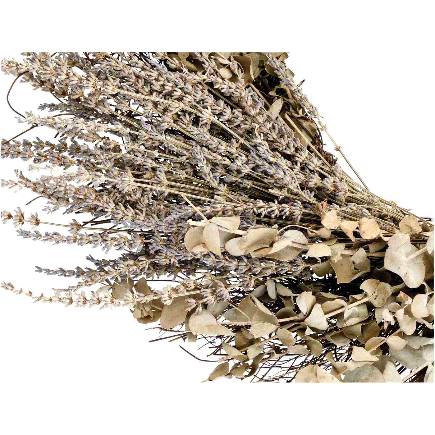 Haven + Key Botanical Dried Eucalyptus & Lavender Wreath - Natural; image 2 of 2