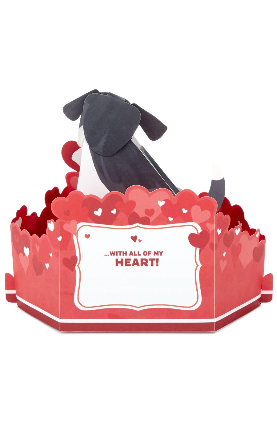 Hallmark Dog Paper Wonder Pop Up Valentine's Day Card with Sound & Motion - S4; image 4 of 6