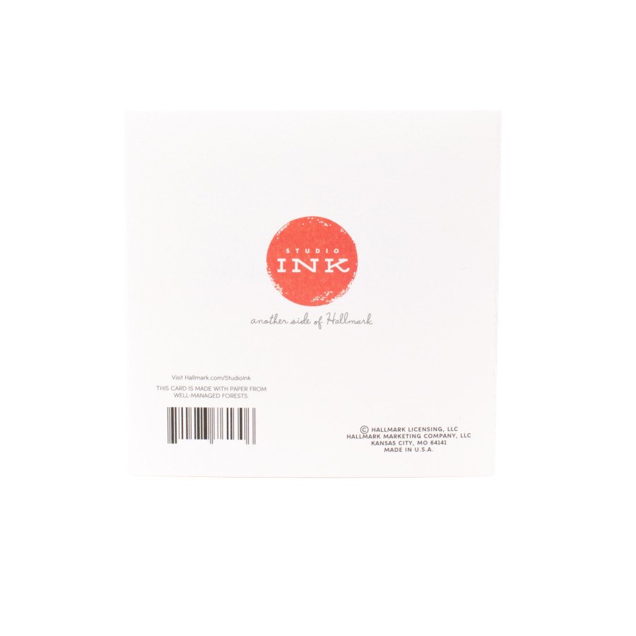 Hallmark Studio Ink Geburtstagskarte – 12,7 X 12,7 Cm, Mit Umschlag, Foto-Design & Lustigem Spruch
