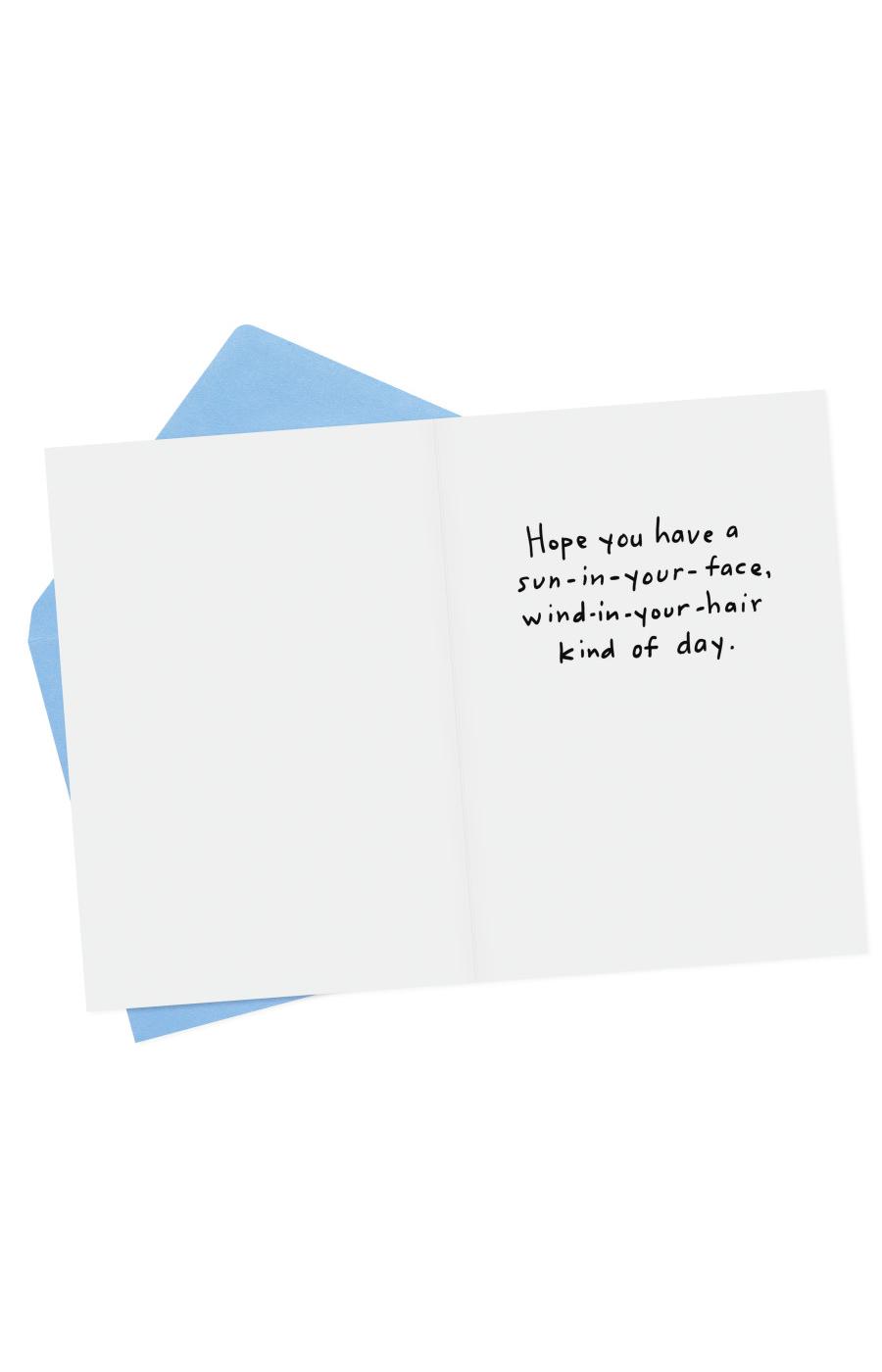 Hallmark Shoebox Dog In Car Funny Birthday Card - E20; image 5 of 6