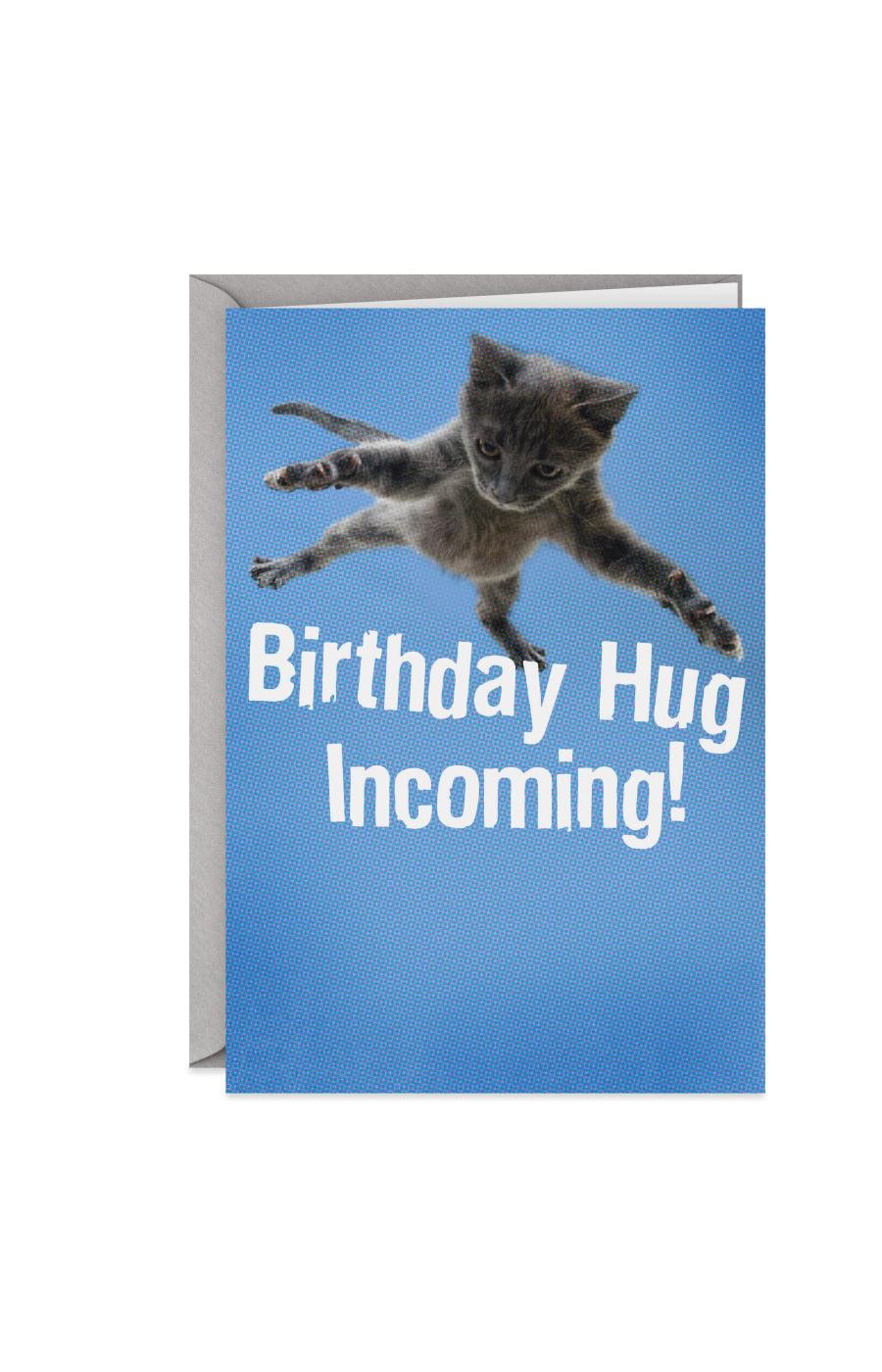 Hallmark Shoebox Flying Cat Funny Birthday Card - E36; image 1 of 3
