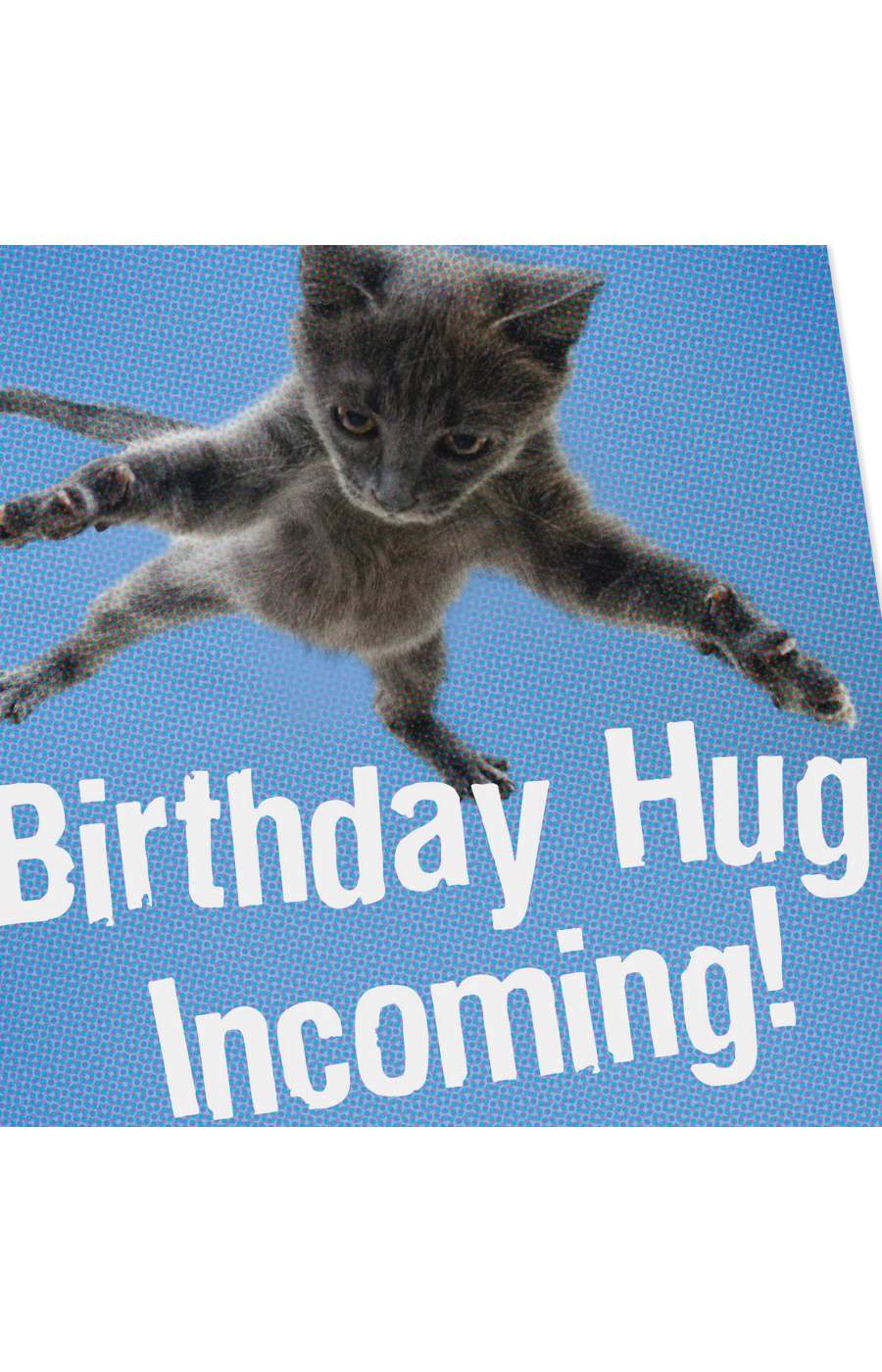 Hallmark Shoebox Flying Cat Funny Birthday Card - E36; image 2 of 3