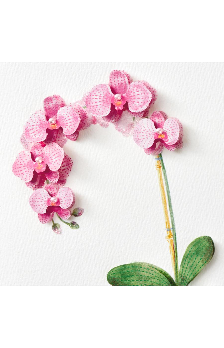 Hallmark Signature Orchid Birthday Card for Her - E26, E5; image 2 of 6
