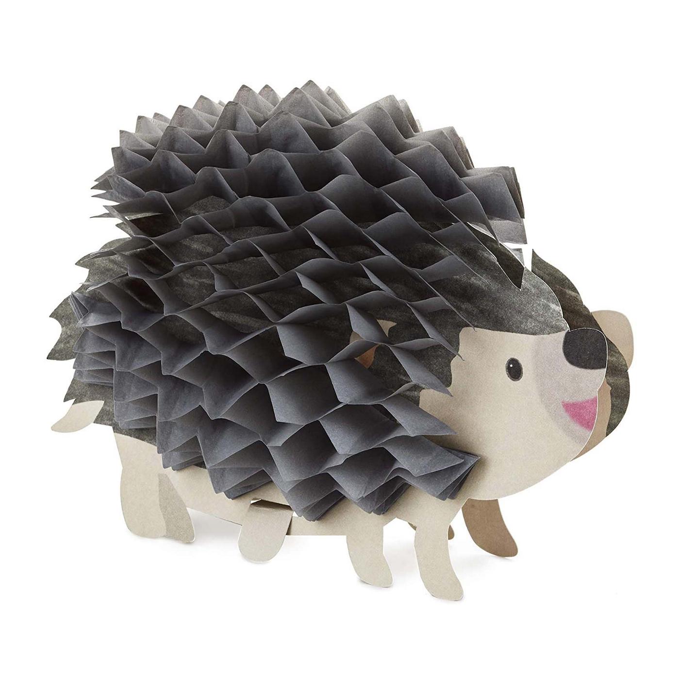 Hallmark Pop Up Birthday Greeting Card  Honeycomb Hedgehog (599rzq1002) P 406862662 - View #8