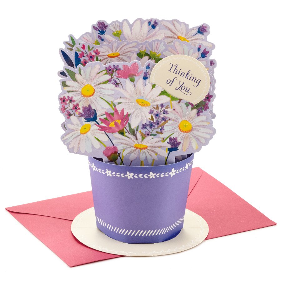 Hallmark Paper Wonder PopUp Displayable 3D Thinking of You Card, E72