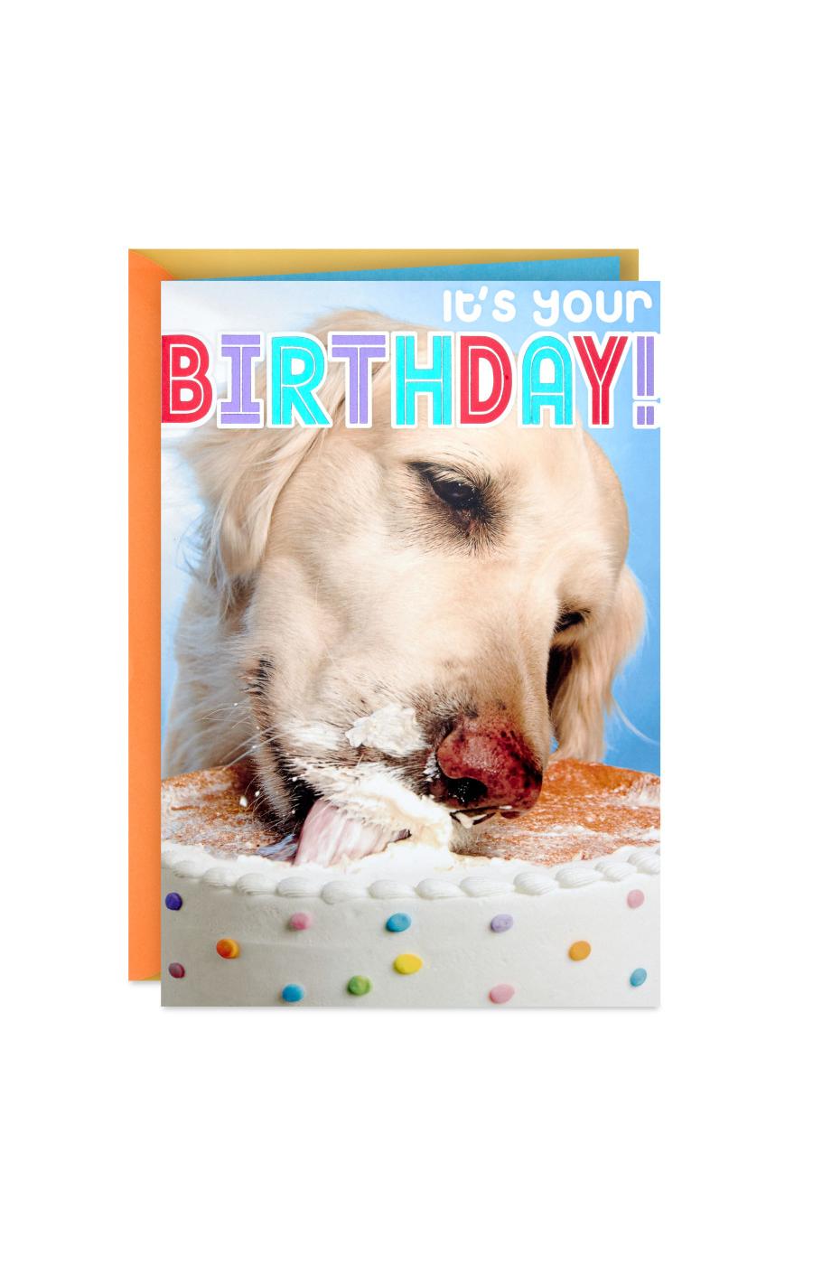 Hallmark Dog Eating Birthday Cake Birthday Card - E21; image 1 of 6