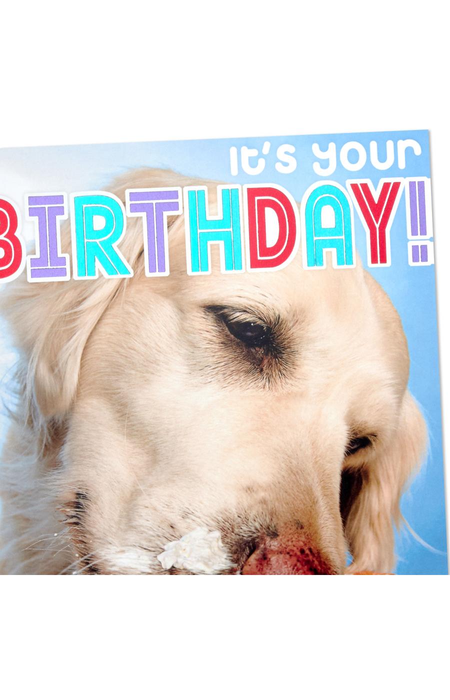 Hallmark Dog Eating Birthday Cake Birthday Card - E21; image 3 of 6