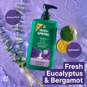Irish Spring 5-in-1 Body Wash for Men, 30 oz