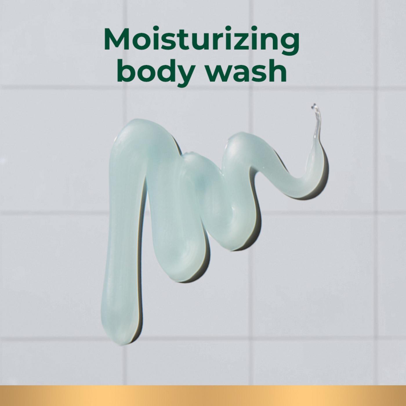 Irish Spring 5-in-1 Body Wash for Men; image 8 of 9