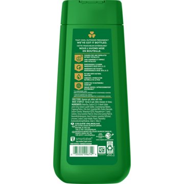 Irish Spring Moisturizing Face + Body Wash - Original Clean , 20 oz