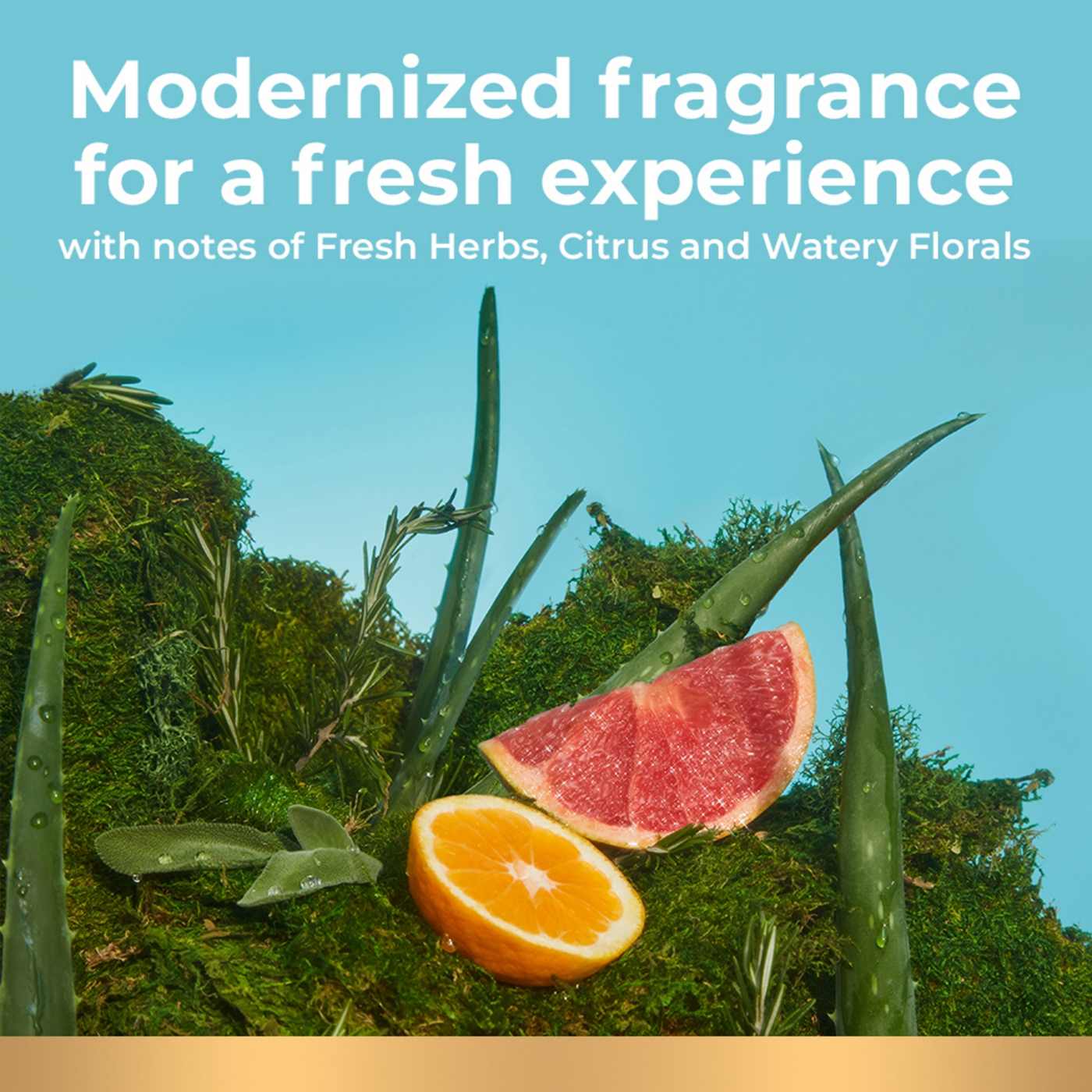 Irish Spring Moisturizing Face + Body Wash Aloe Mist Shop Body Wash