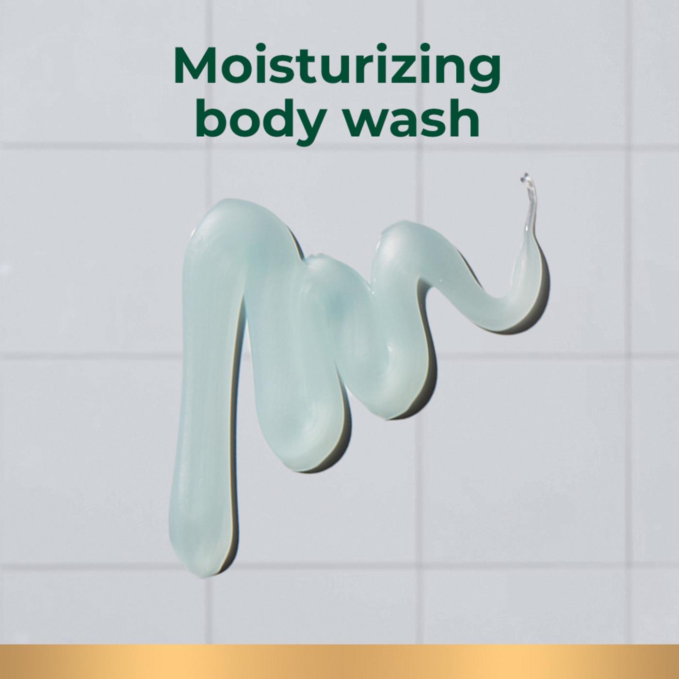 Irish Spring 5-in-1 Body Wash for Men; image 2 of 9