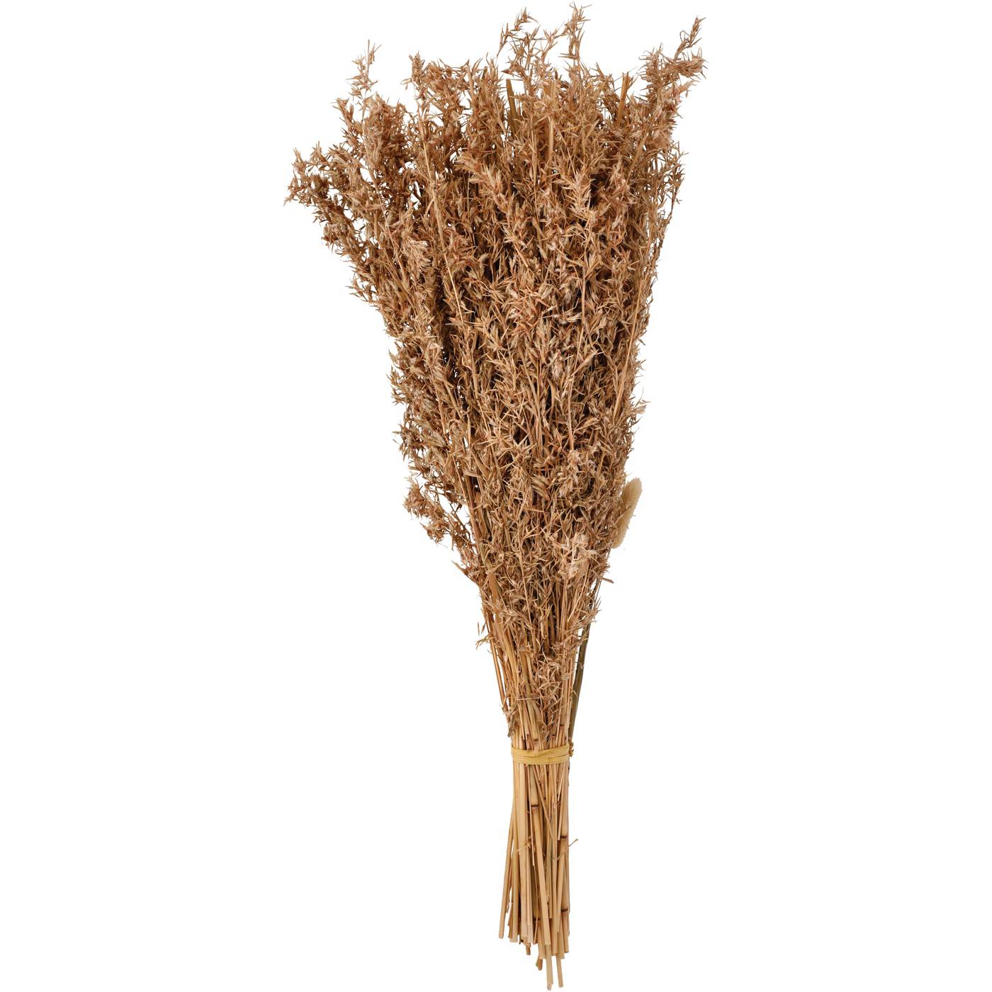 Haven + Key Dried Botanical Alfalfa Grass Bundle; image 1 of 2