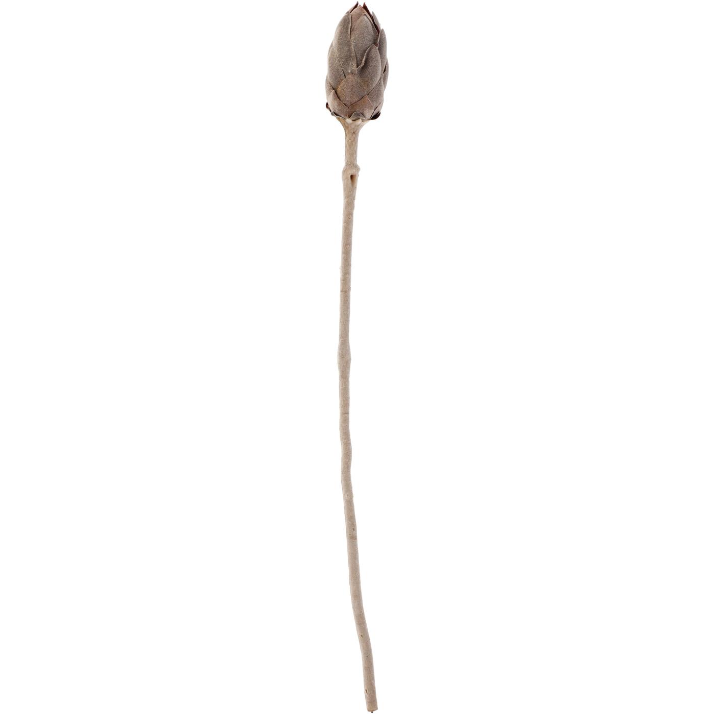 Haven + Key Faux Botanical Protea Flower Stem; image 1 of 2