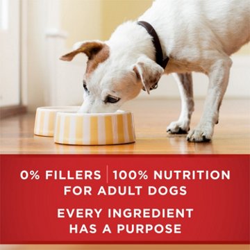 Purina ONE Tender Cuts in Gravy Entrees Wet Dog Food Variety Pack - Chicken and Brown Rice, and Beef and Barley