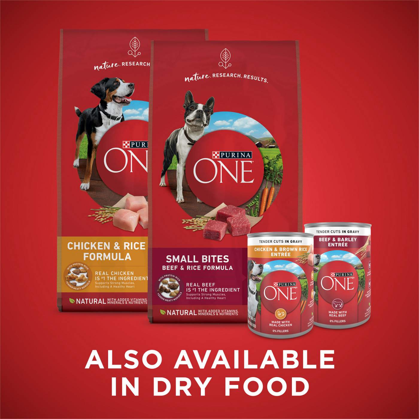 Purina ONE Tender Cuts in Gravy Chicken and Brown Rice and Beef and Barley Entrees Wet Dog Food Variety Pack Shop Food at H E B