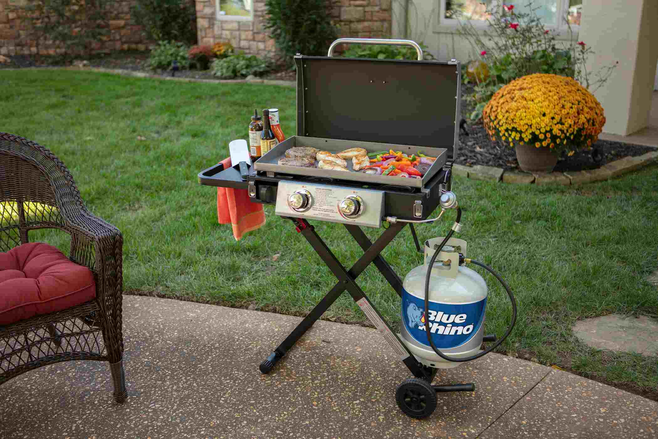 Blue Rhino Buy a Spare Tank Shop Charcoal, wood & fuel at HEB