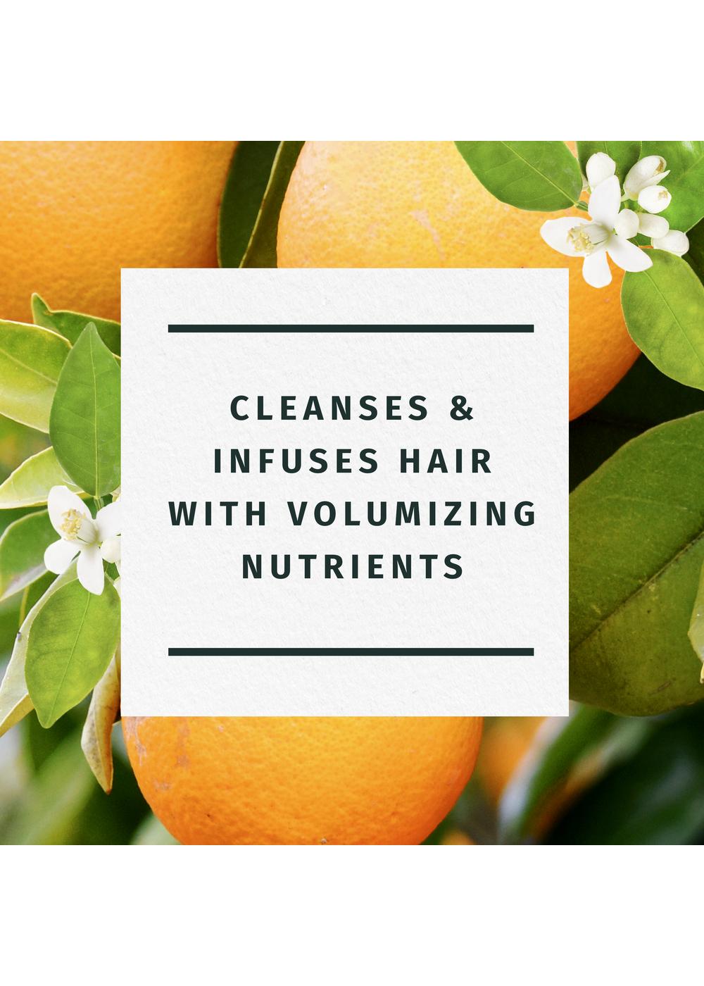 Herbal Essences Orange Blossom Volume Shampoo Shop Shampoo