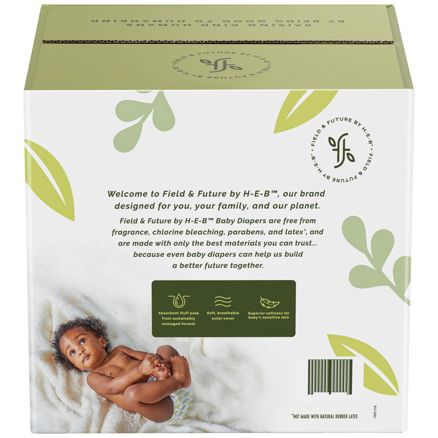 Field & Future by HEB Plus Pack Baby Diapers Size 3 Shop Diapers