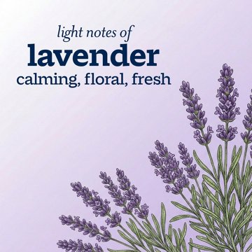 Ivory Mild & Gentle Body Wash - Lavender