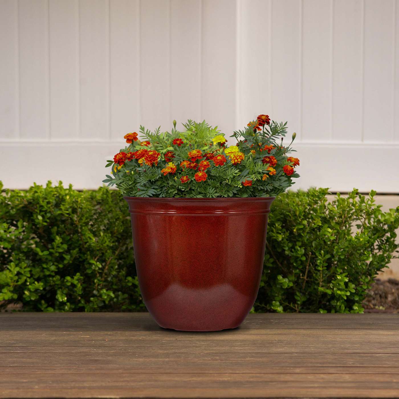 Trendspot Conner Resin Planter in Red; image 3 of 3