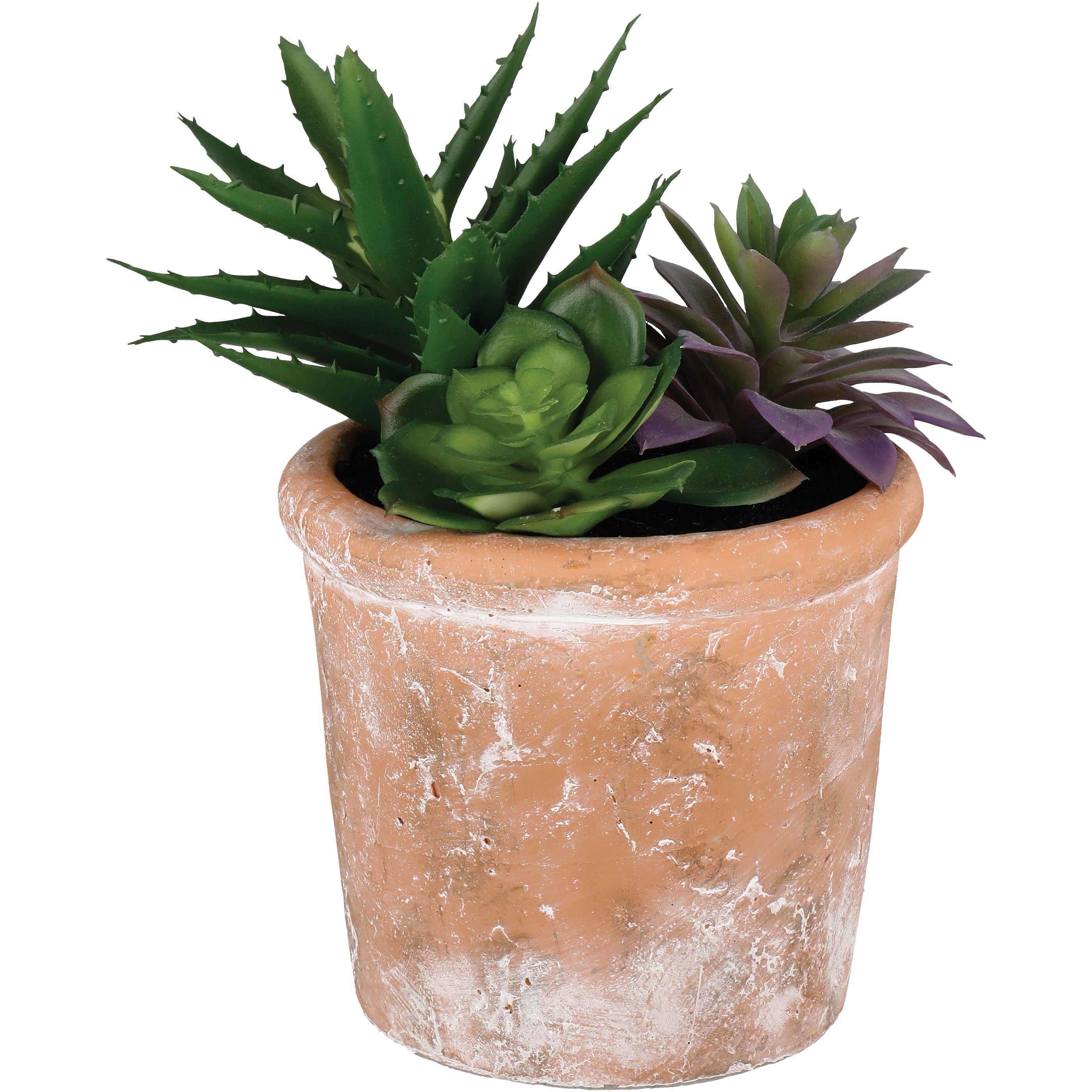 Haven + Key Faux Botanical Succulents in Terracotta Planter Assorted