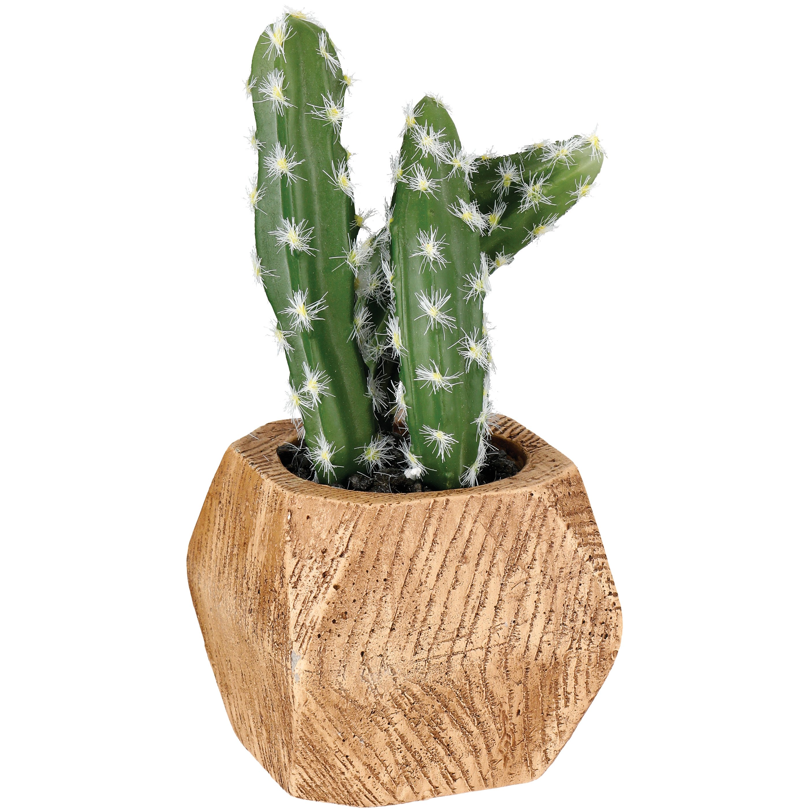 Haven + Key Botanical Faux Cactus in Wood Planter - Shop Seasonal decor at  H-E-B