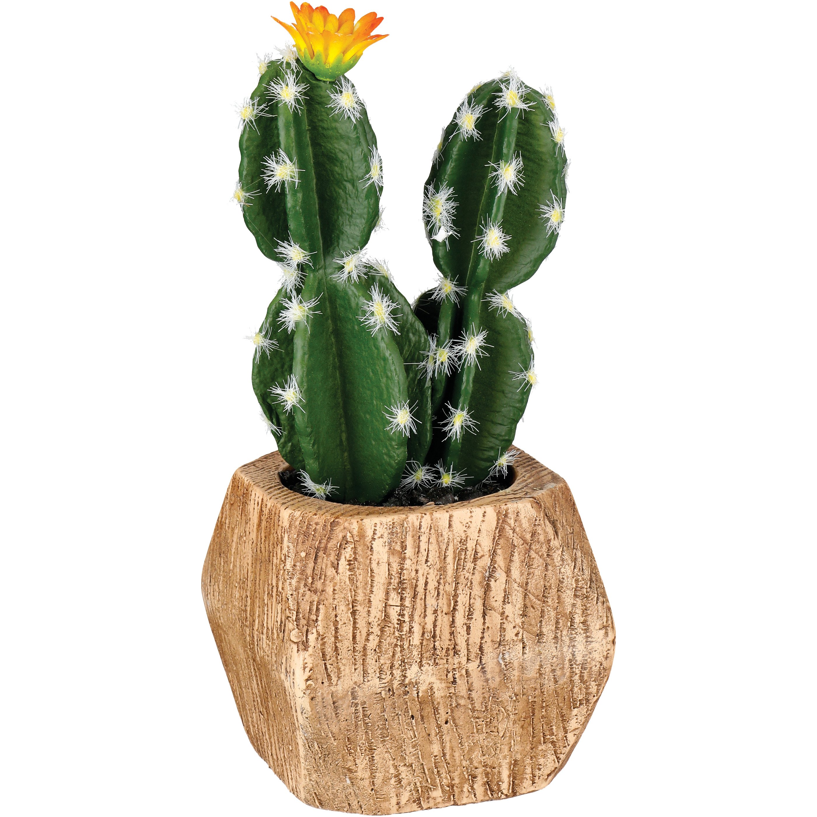 Haven + Key Faux Double Cactus in Wood Planter - Shop Seasonal