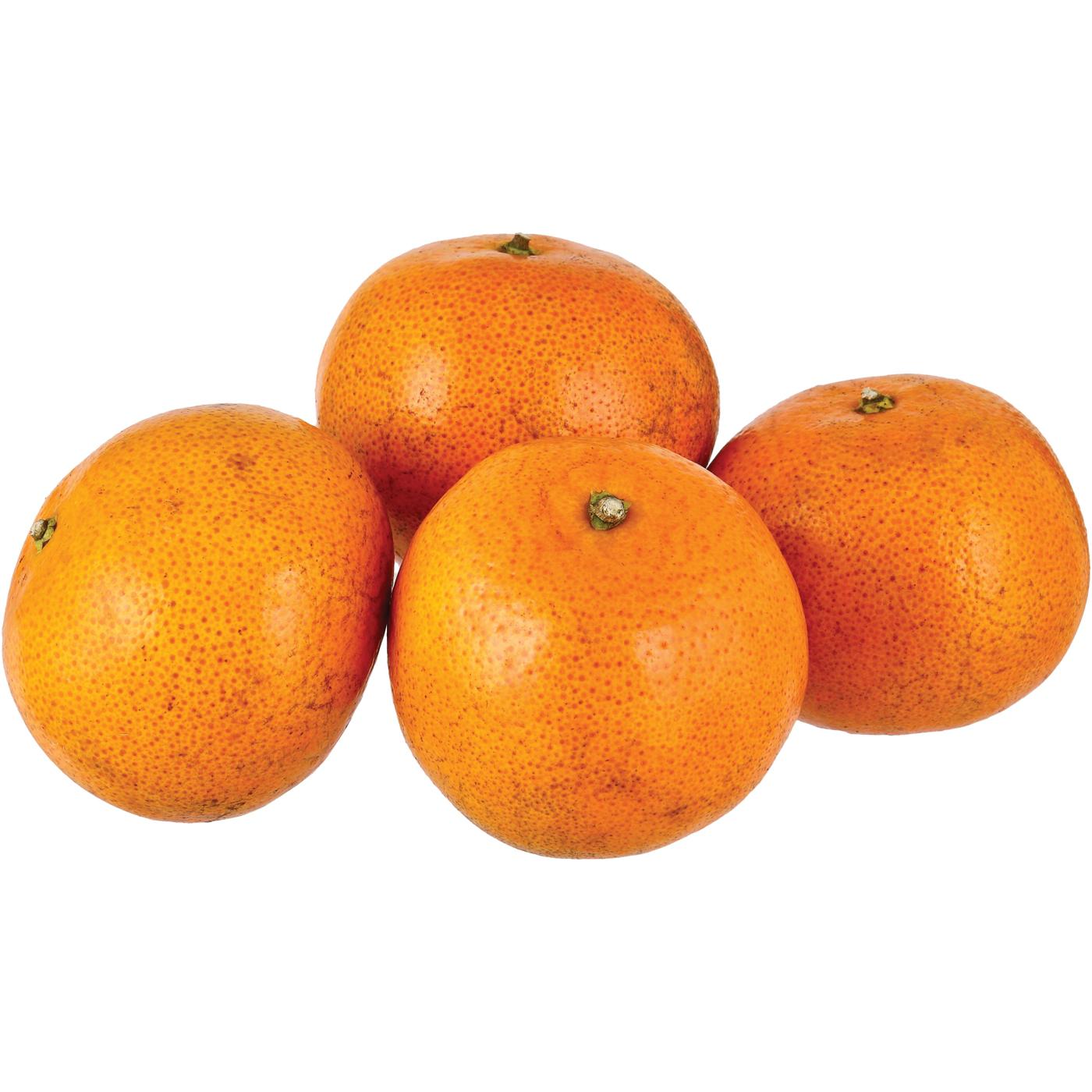 Fresh Juicy Crunch Tangerine Shop Citrus at HEB